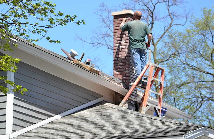 Chimney & Fireplace Inspections Services in Douglasville, GA